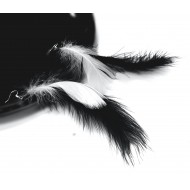 Náušnice peříčka černá/ bílá delší NA012